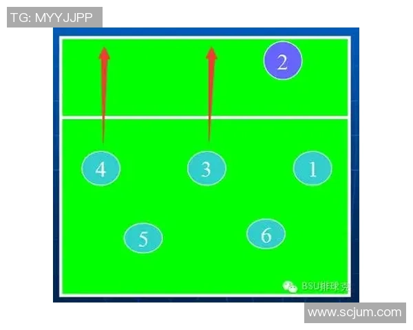 重庆排球队反击战术深度解析与实战应用探讨